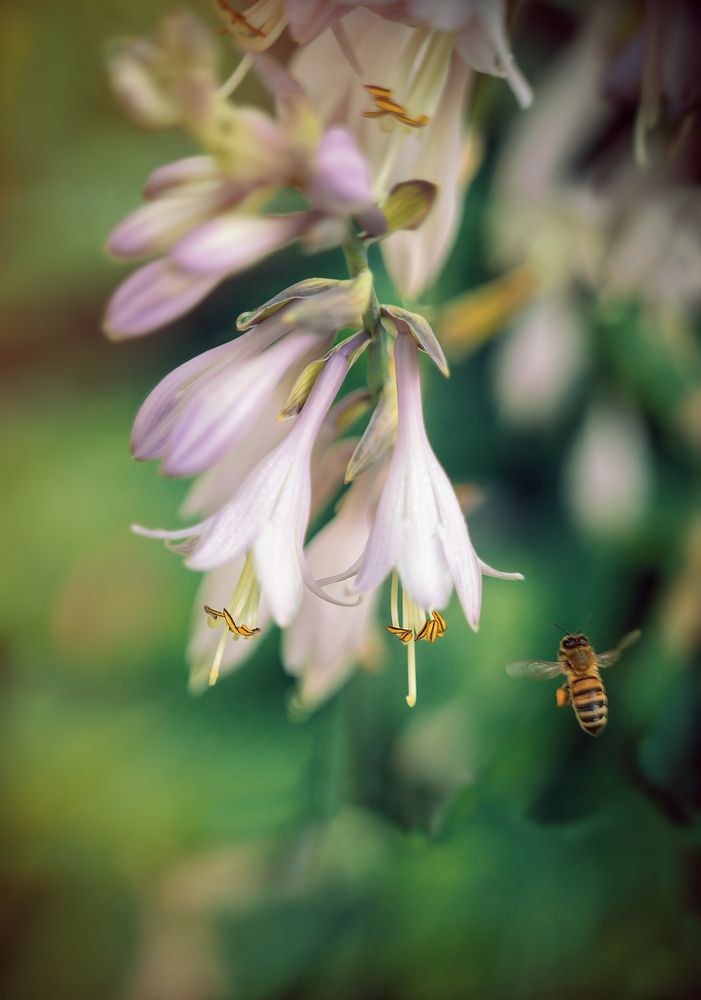 Photograph by Andrey Rut