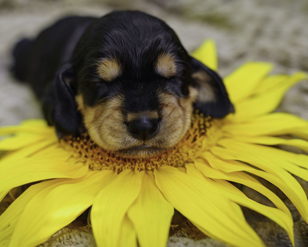 Photograph by Anna Sindikayeva