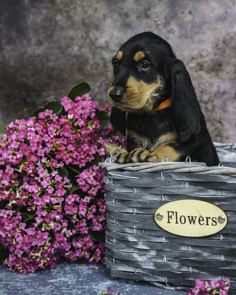 Photograph by Anna Sindikayeva