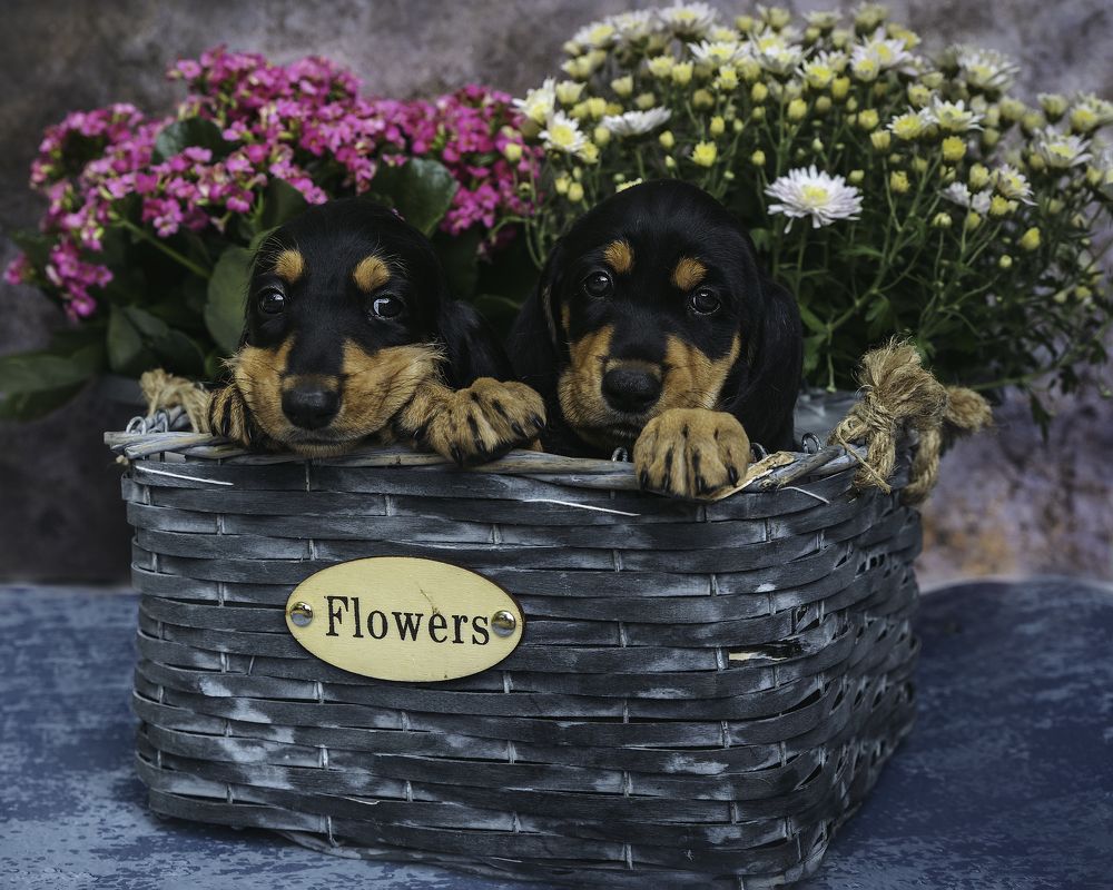 Photograph by Anna Sindikayeva