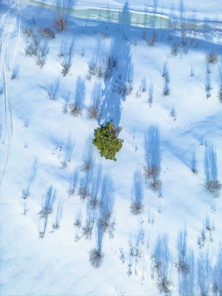 Photograph by Konstantin Martynov