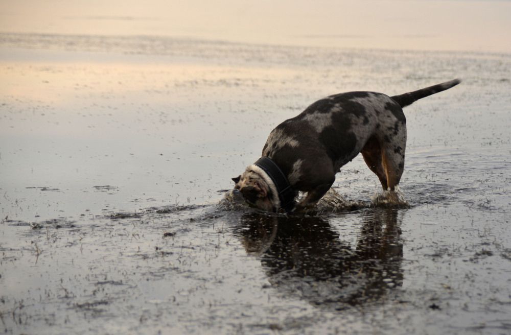 Photograph by Евгений Цыбульник