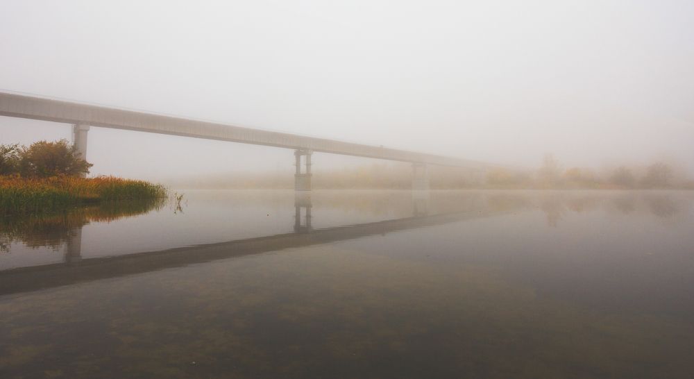 Photograph by Дмитрий Калюженко