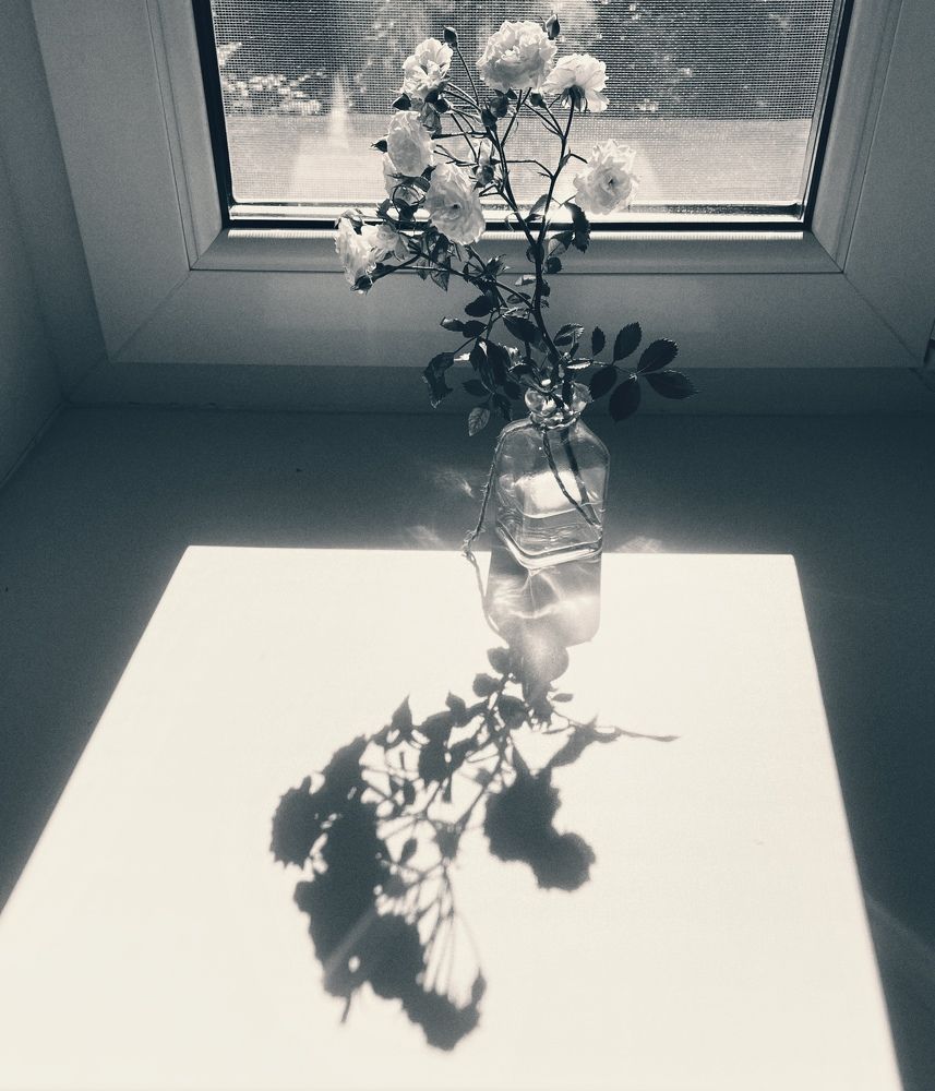 Фотография автора Рамзия Хисамутдинова