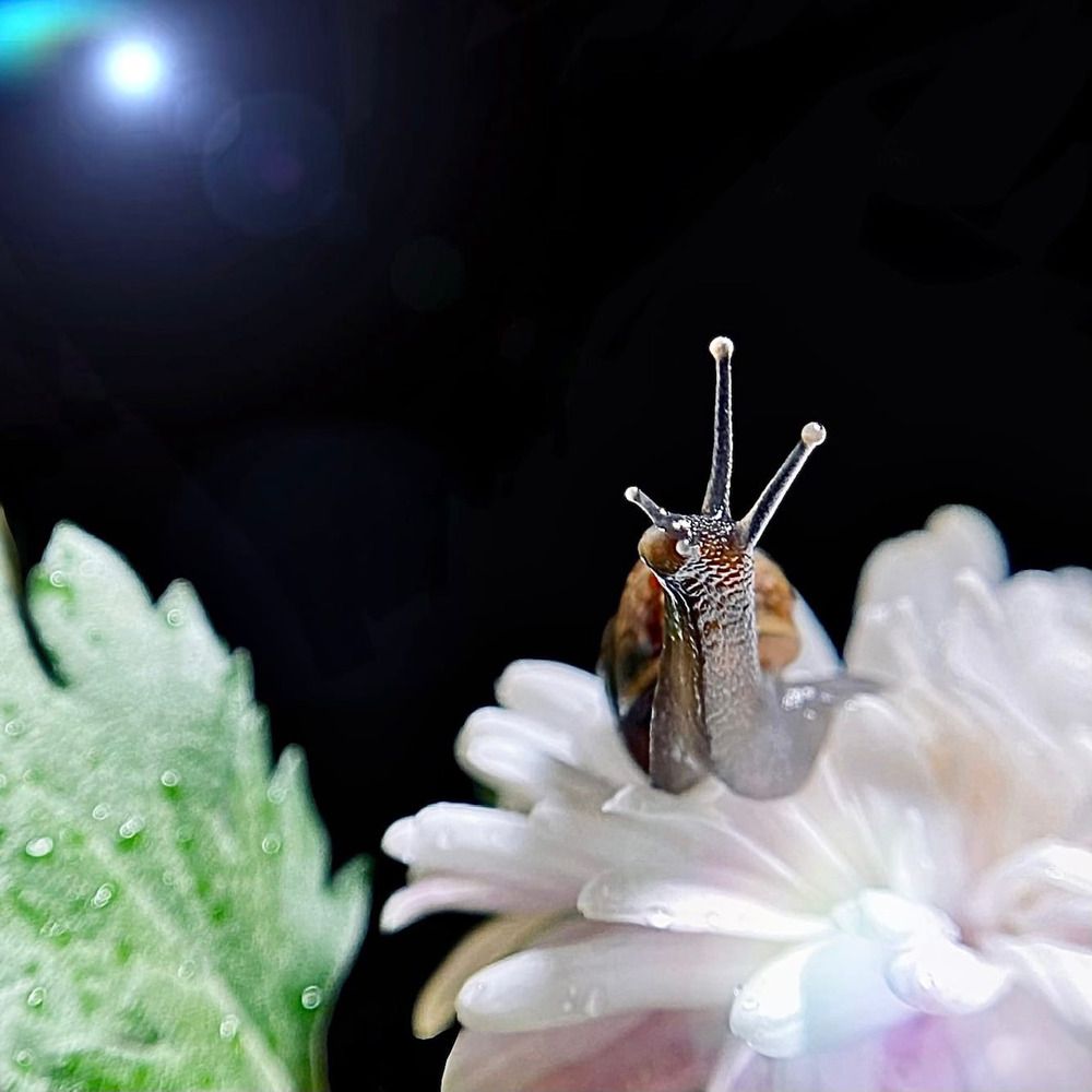 Photograph by Любовь Козлова