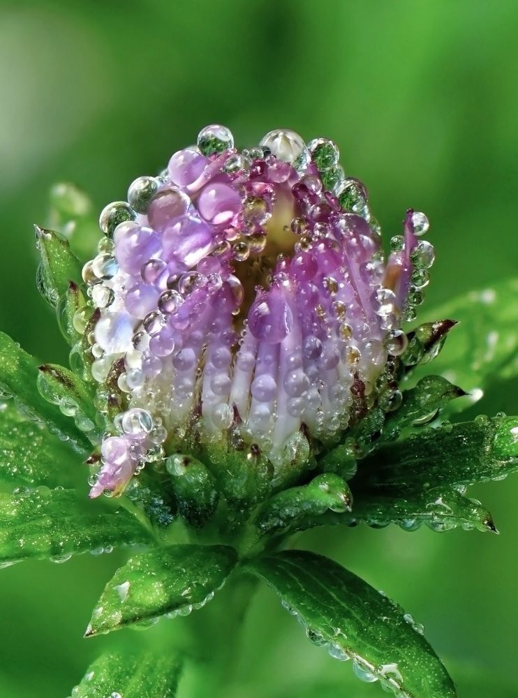 Photograph by Наталья Соколова