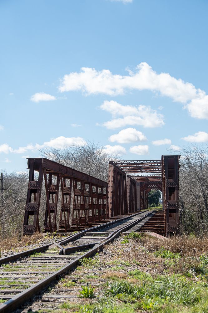 Фотография автора Silvana Blanc