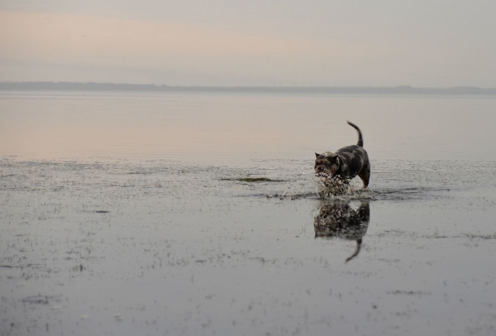 Photograph by Евгений Цыбульник