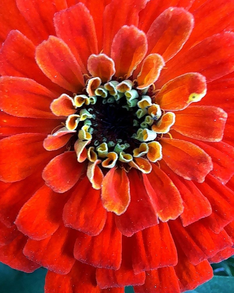 Photograph by Ольга Березовская