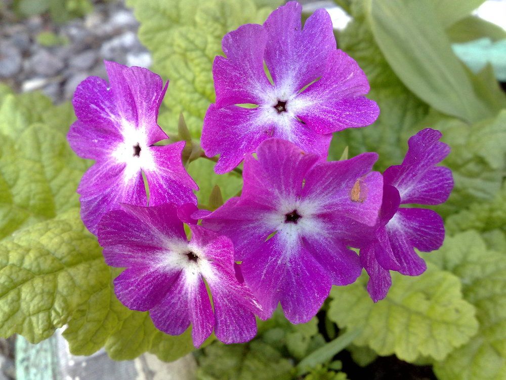 Photograph by Владимир Себякин