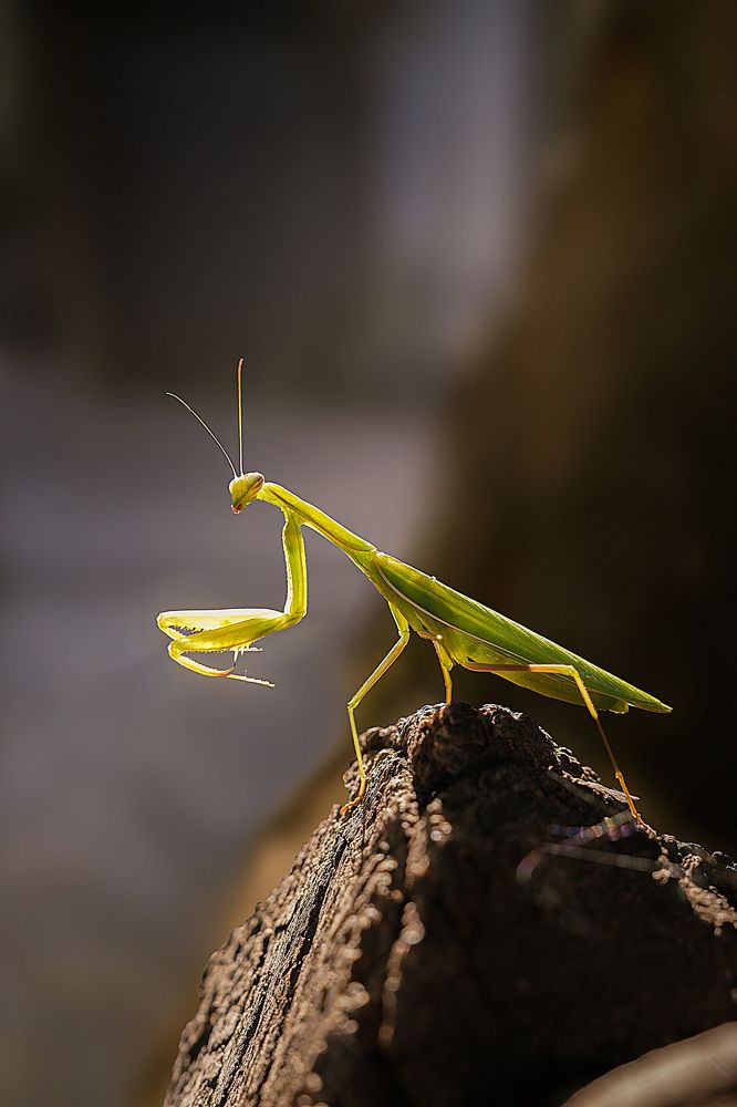 Photograph by Ирина Подгорная