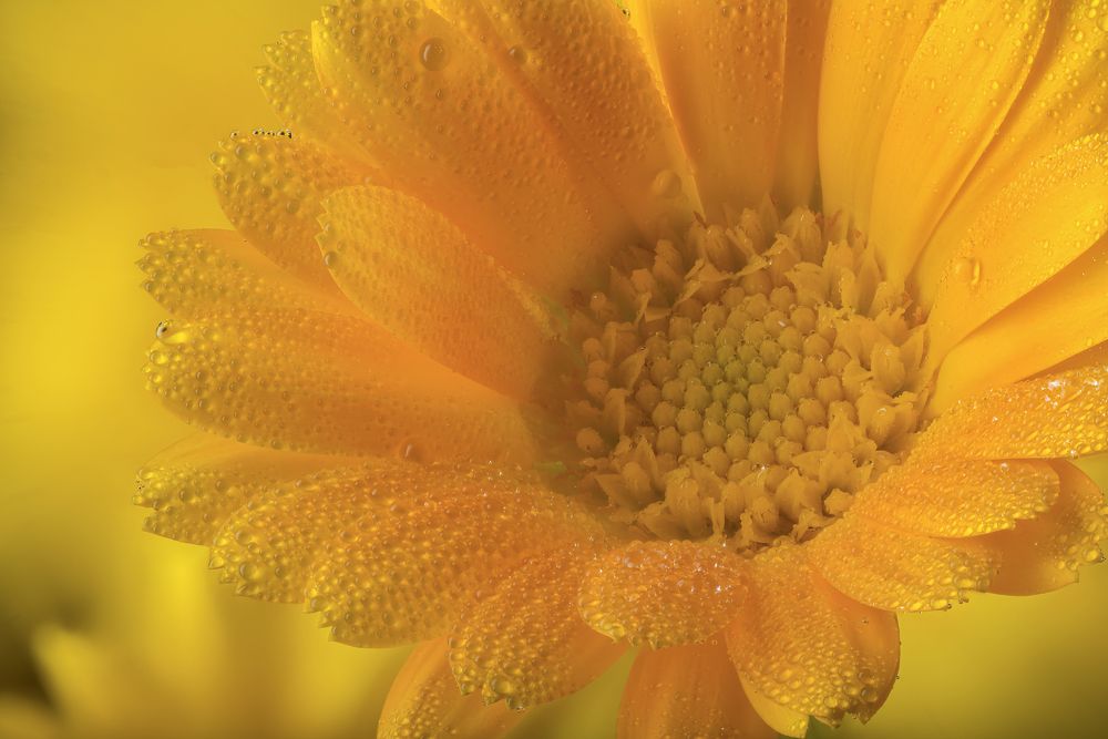 Photograph by Вышарь Максим