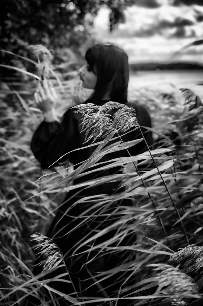 Фотография автора Сандер Нугис