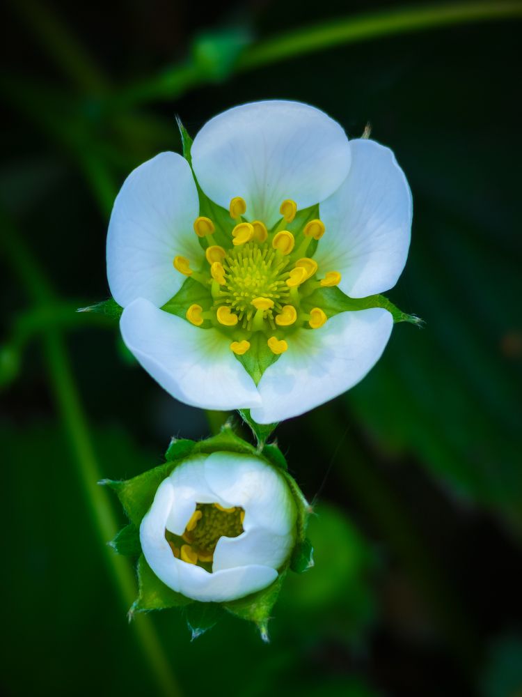 Photograph by Юлия Крюкова