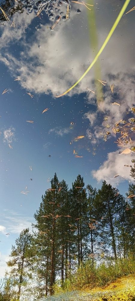 Photograph by Олег Малетин