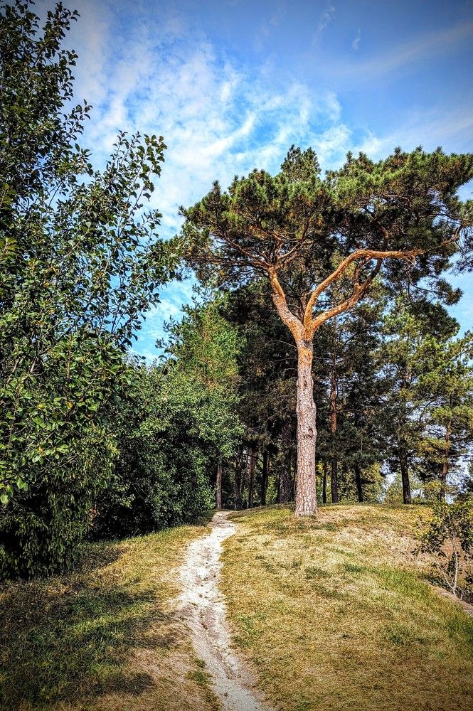 Photograph by AlexaL