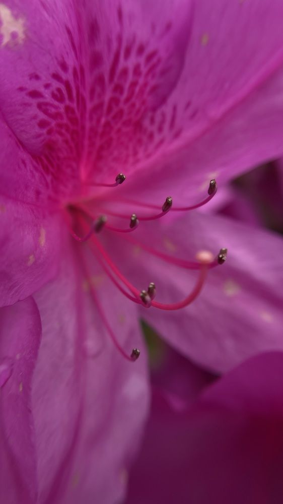 Фотография автора Alexandra Ryabova