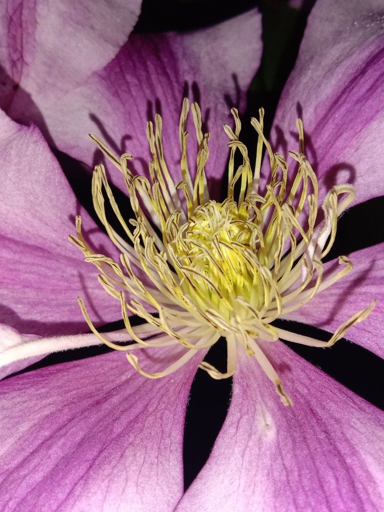 Photograph by Татьяна Стаскевич