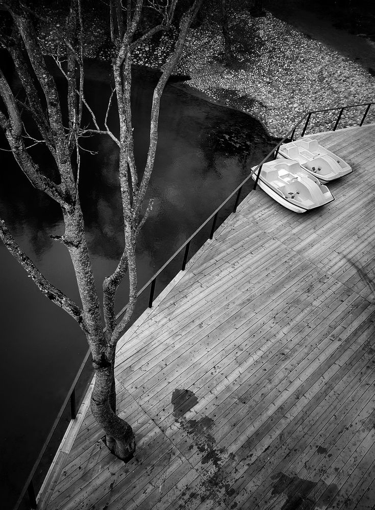 Photograph by Кривенко Владимир