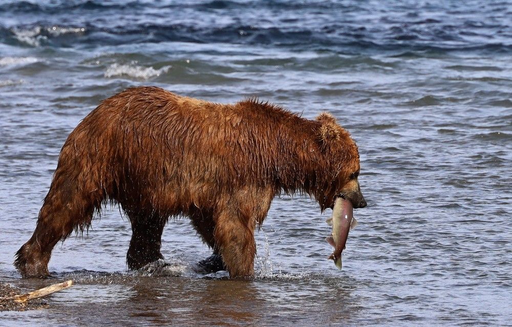 Photograph by Диана Жагрина