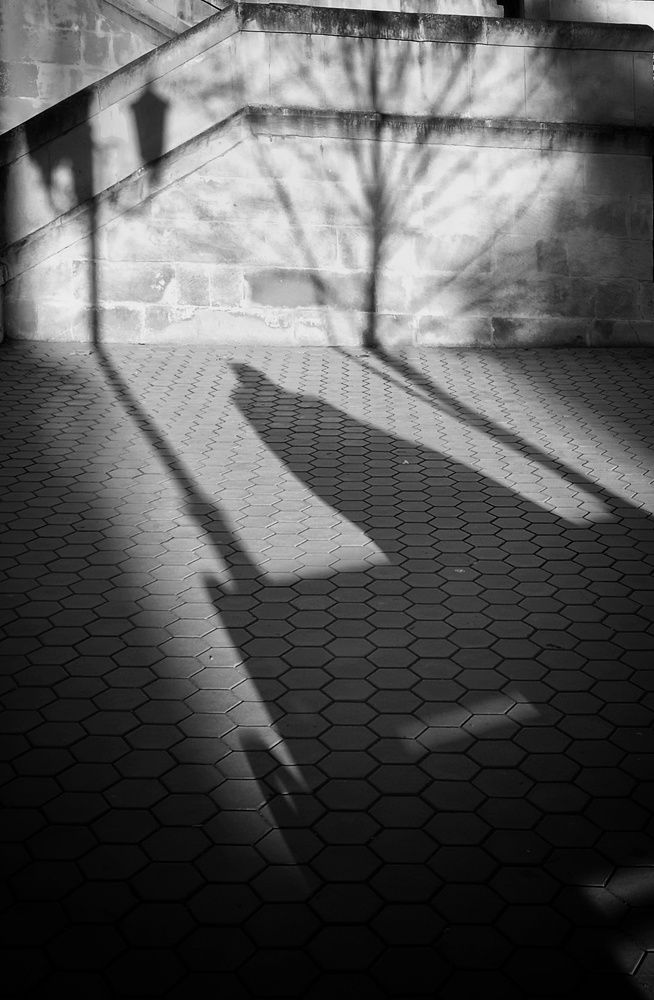 Photograph by Кривенко Владимир