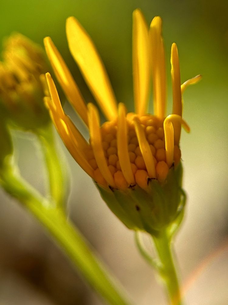 Photograph by Жанна Чикачева