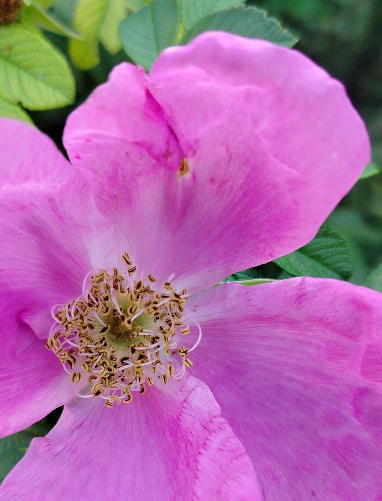 Фотография автора Наталья Драгун