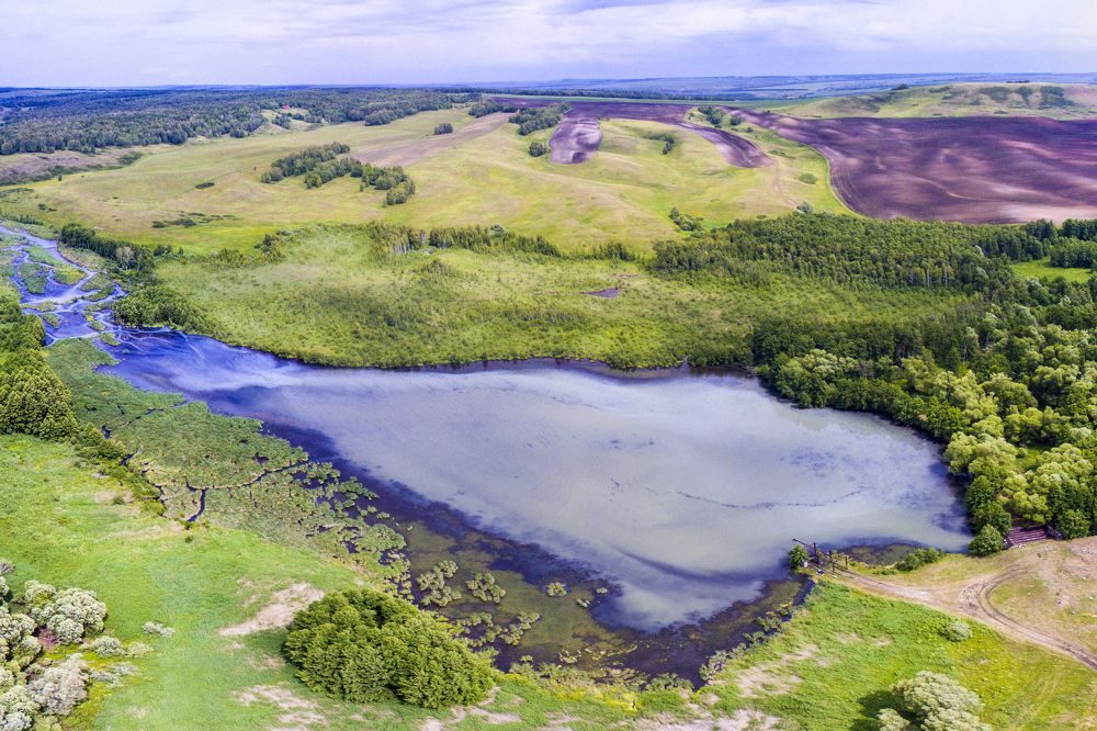 Photograph by Андрей Пшеничников