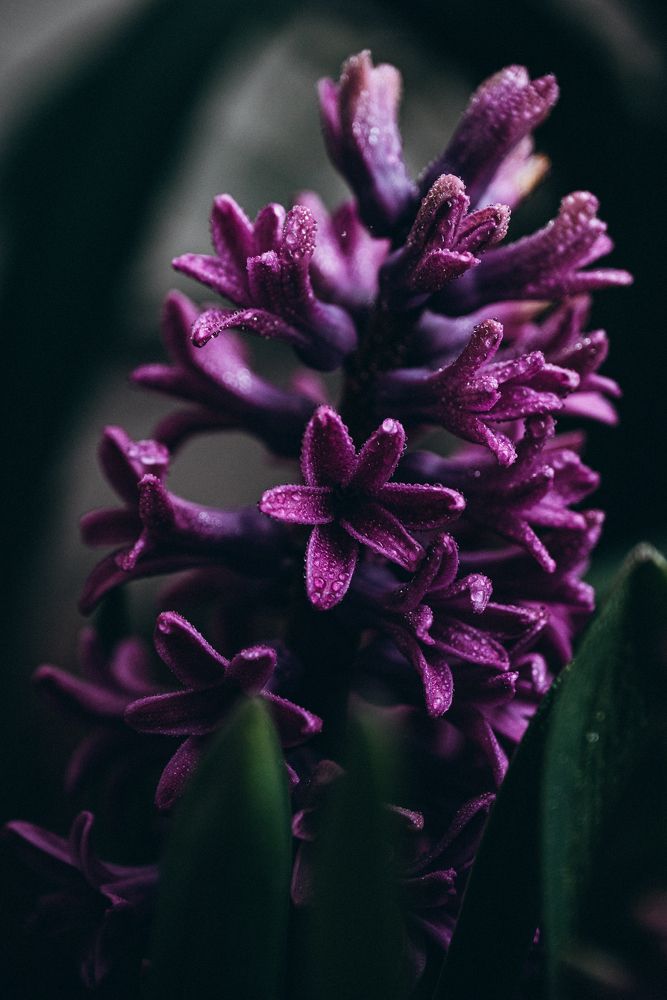 Photograph by Anna Vlasova