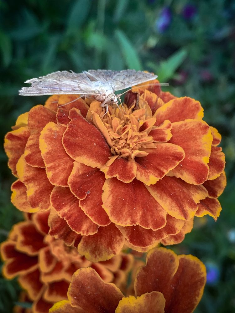 Photograph by Анна Потапова