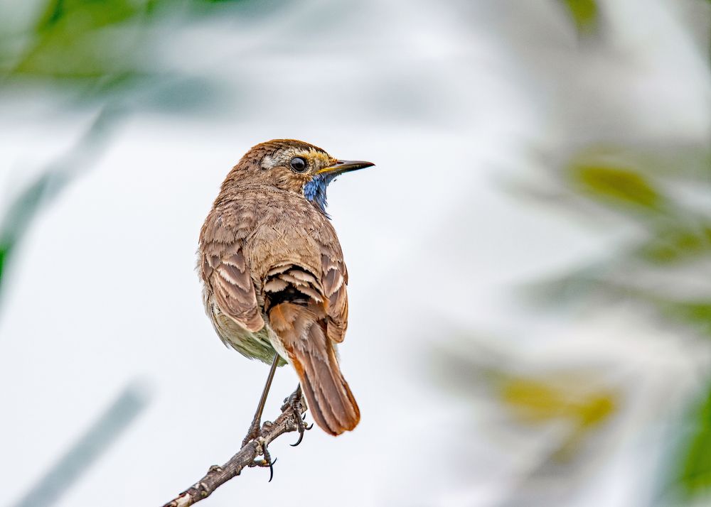 Photograph by Александр Козин