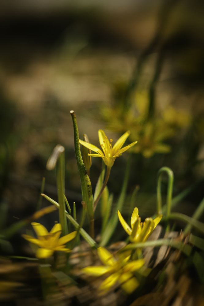 Photograph by Елена Власова