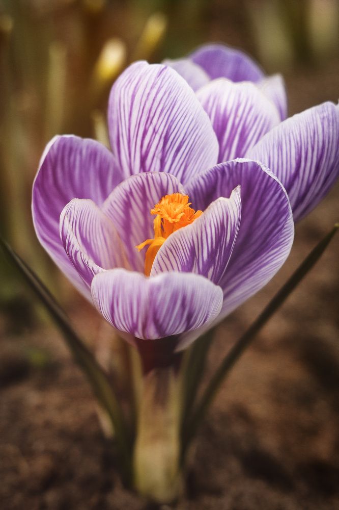 Photograph by Елена Власова
