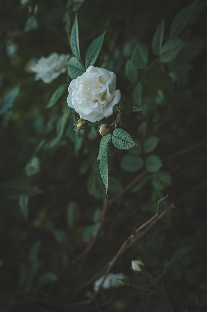 Photograph by Елена Власова