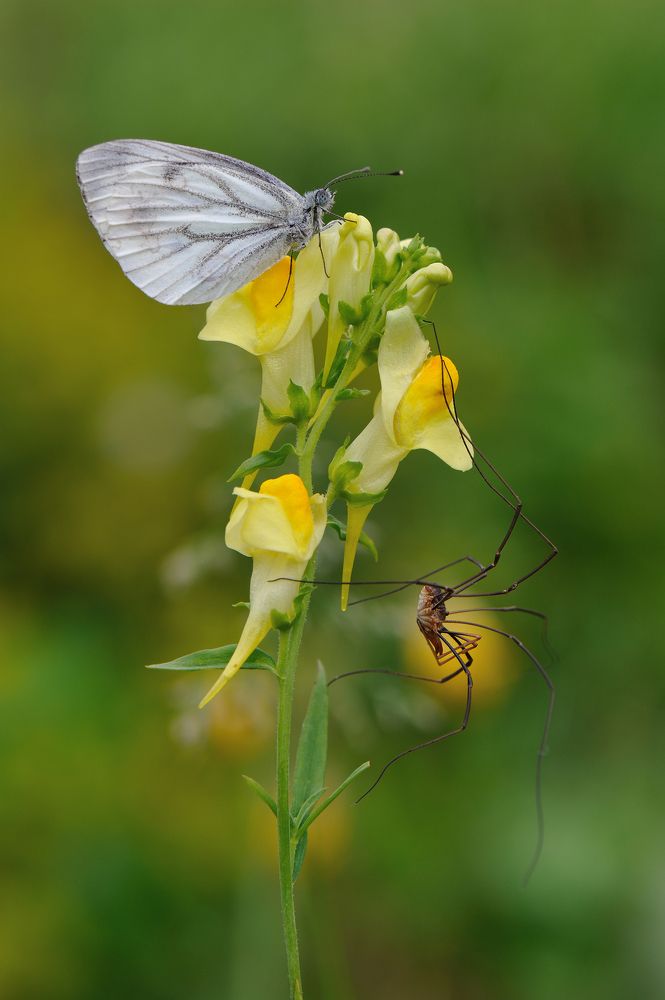 Photograph by Чистяков Андрей