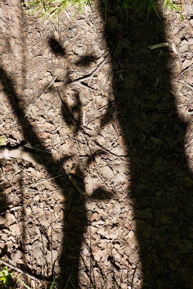 Photograph by Шейко Анна