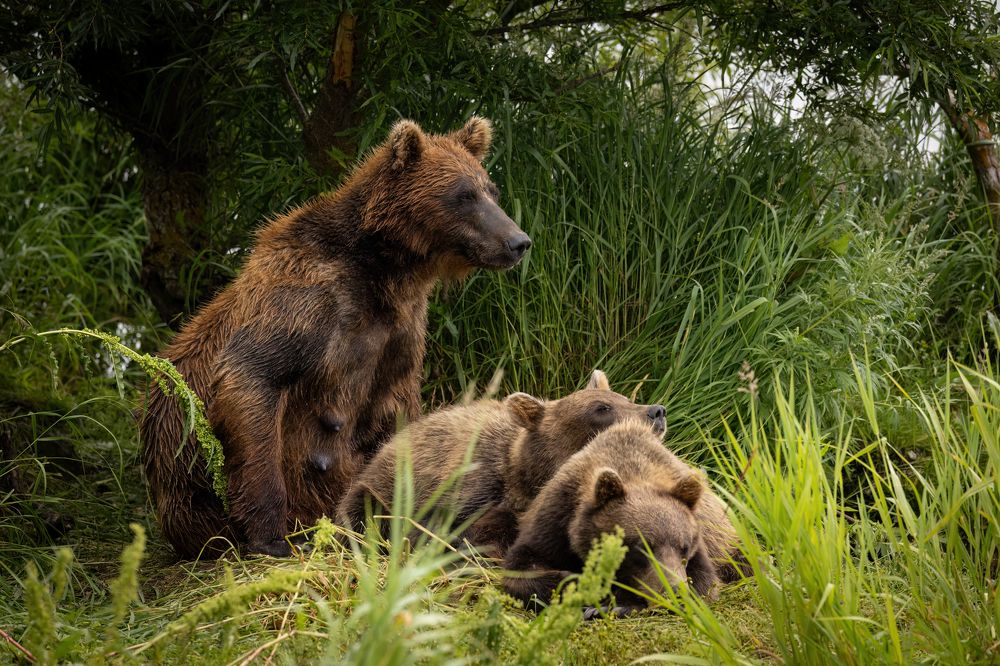 Photograph by Галина Павлова