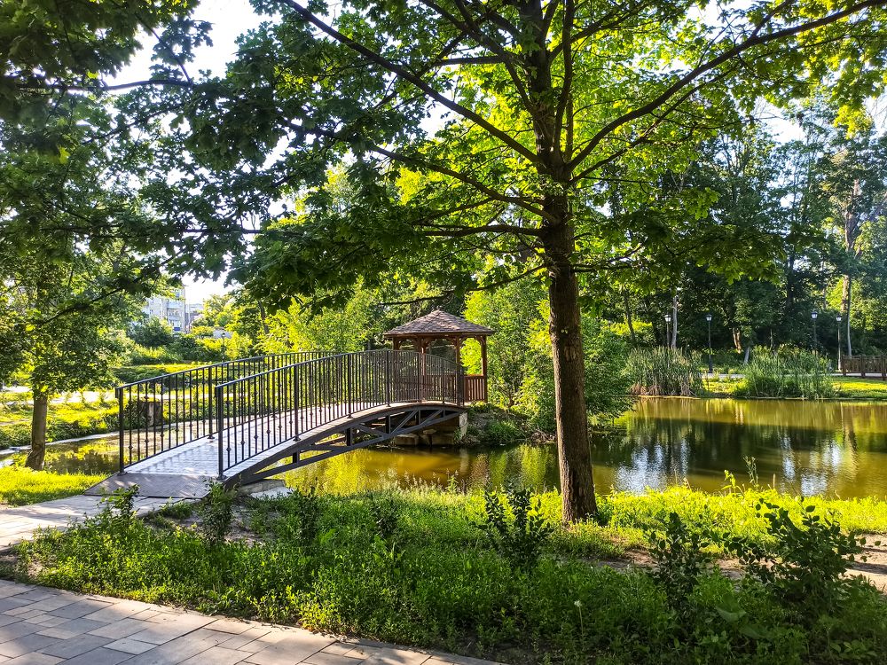 Photograph by Елена Малютина