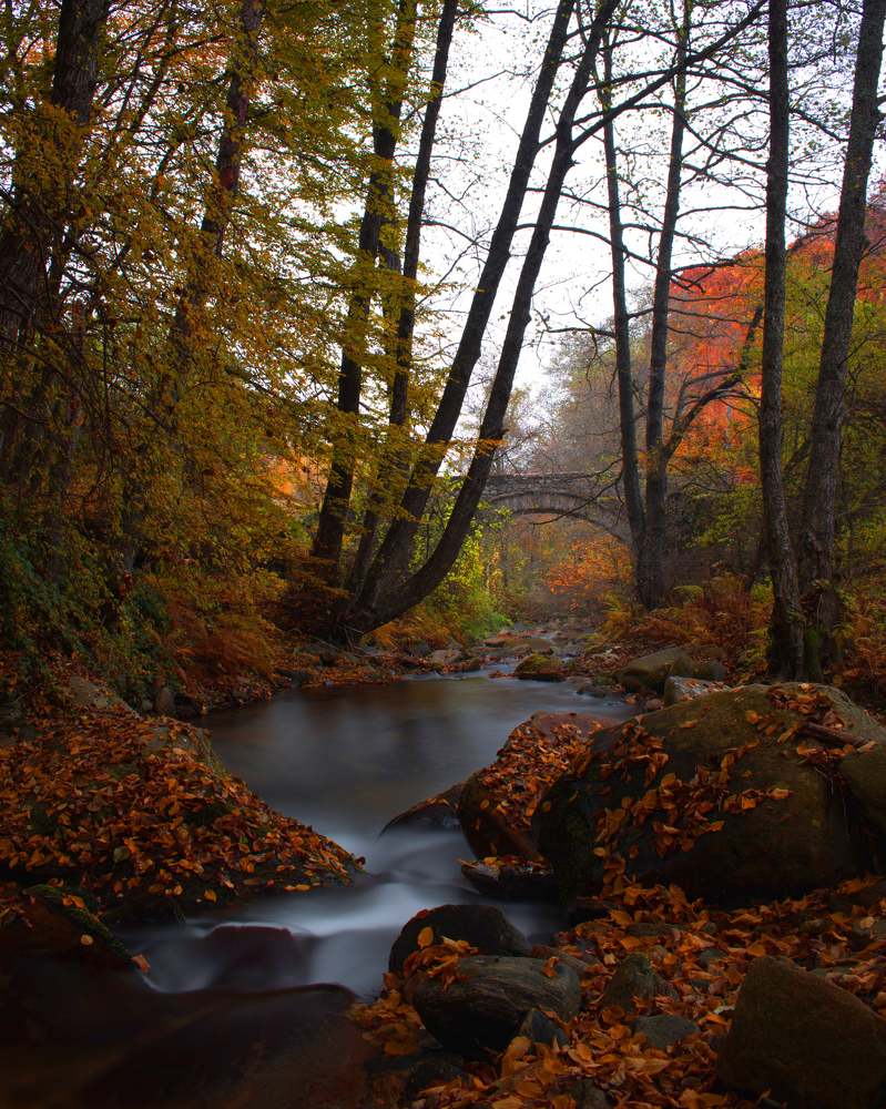 Photograph by ILIAS DIMITRIOU