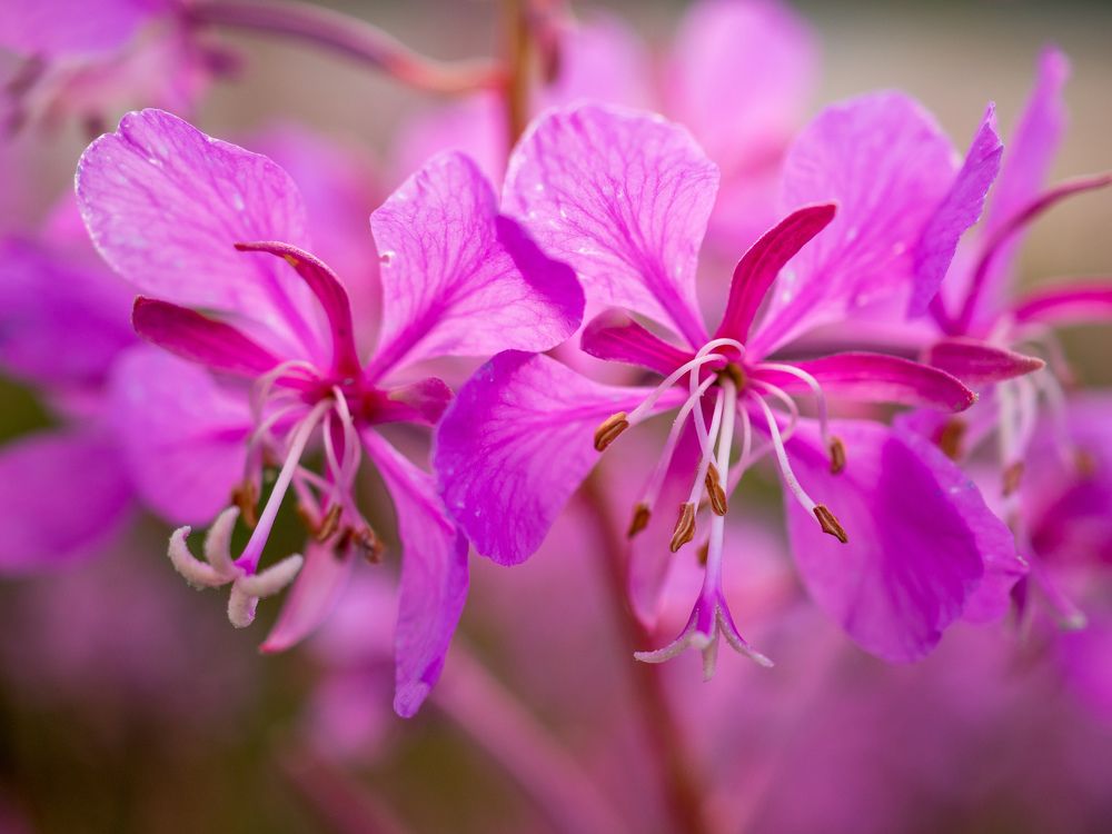 Photograph by Шейко Анна