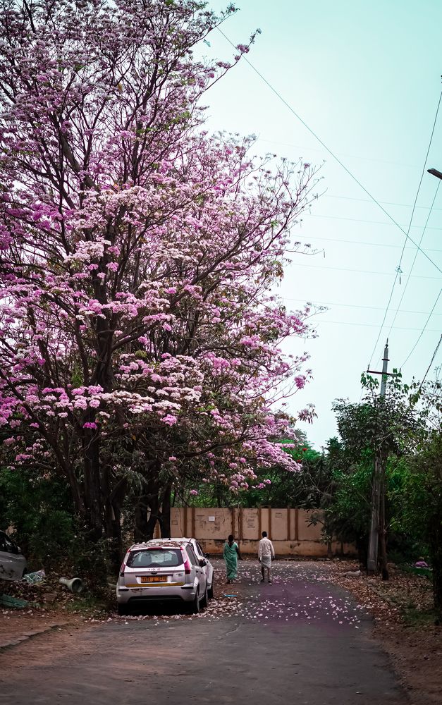 Photograph by Yoge_Yuvan