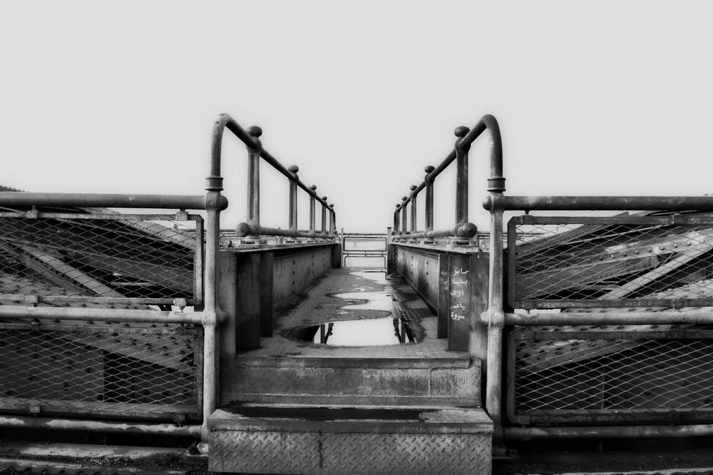 Photograph by Eslam Ahmed