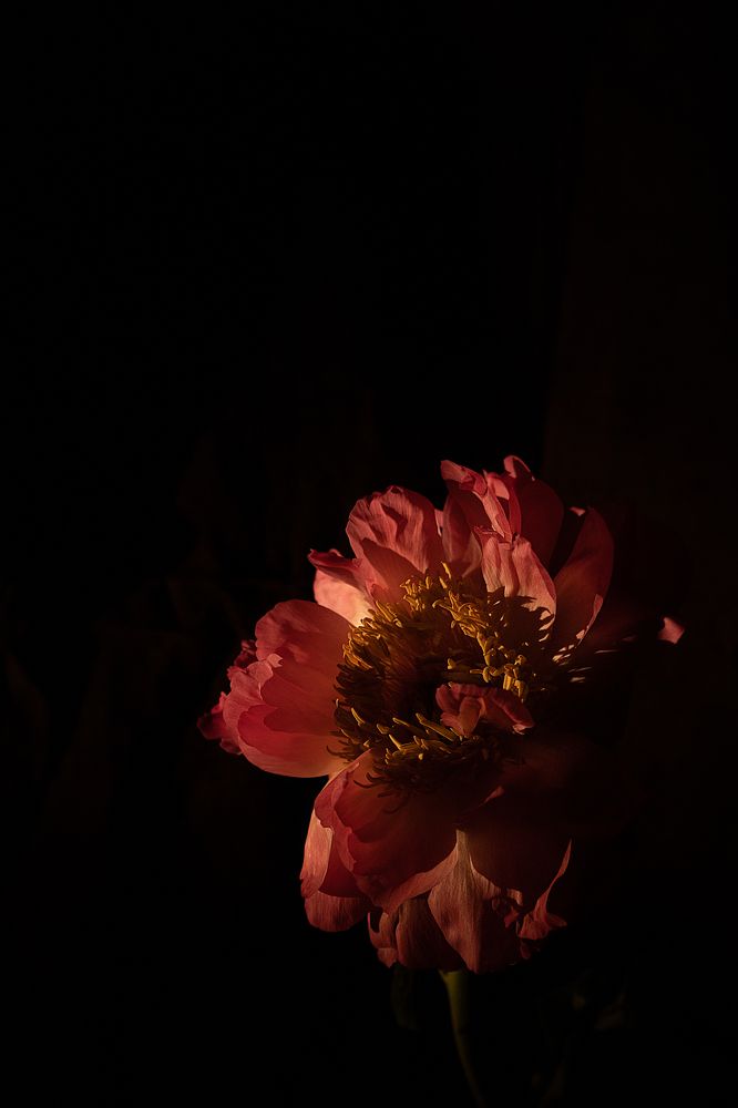 Photograph by Анна Марковская