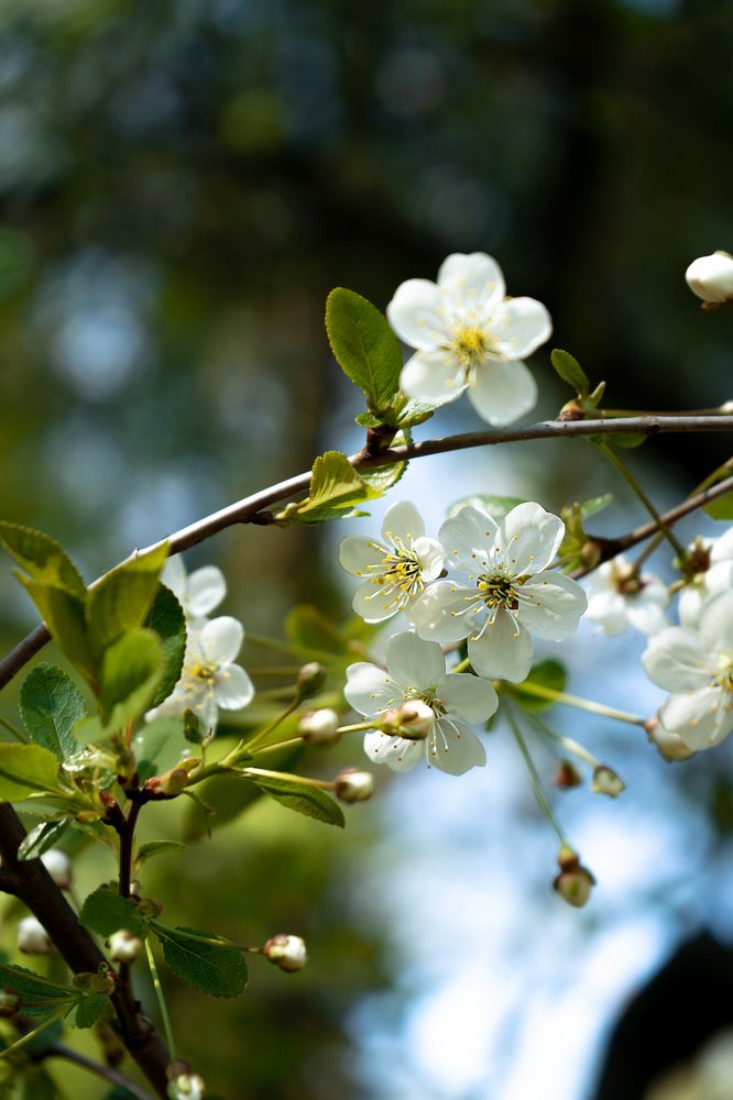 Photograph by Анна Марковская