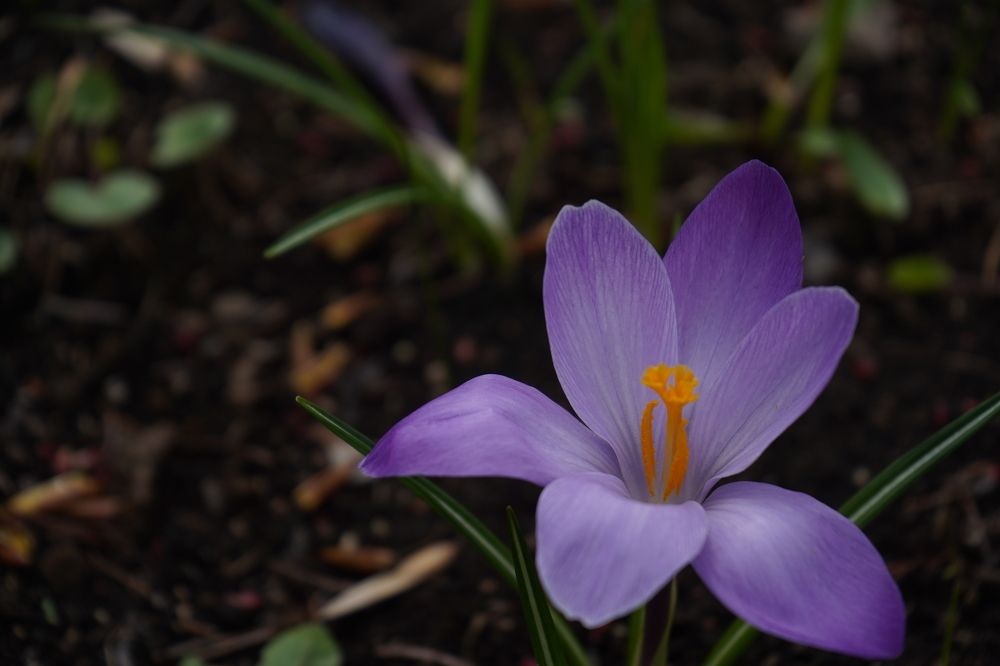 Photograph by Анна Марковская