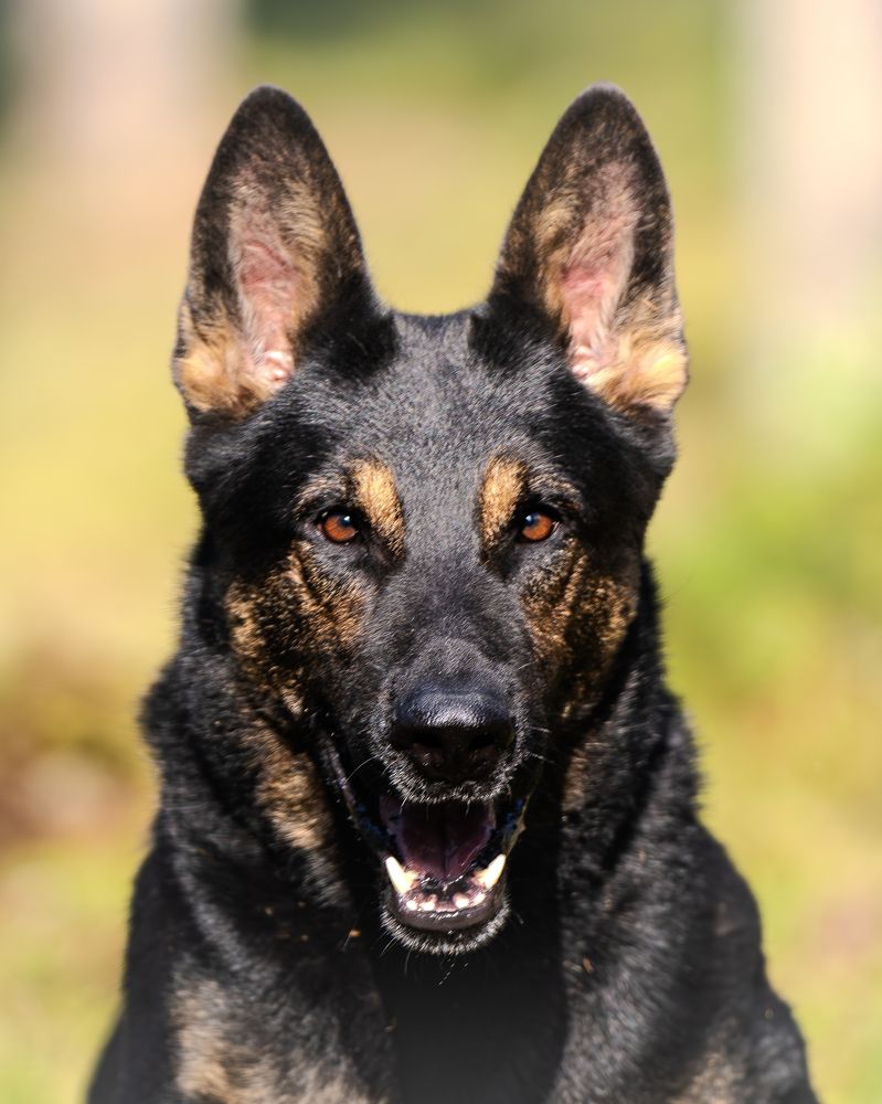 Photograph by Сергей Жиркевич