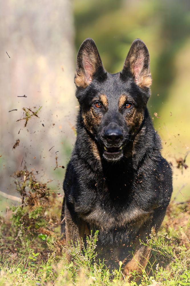 Photograph by Сергей Жиркевич