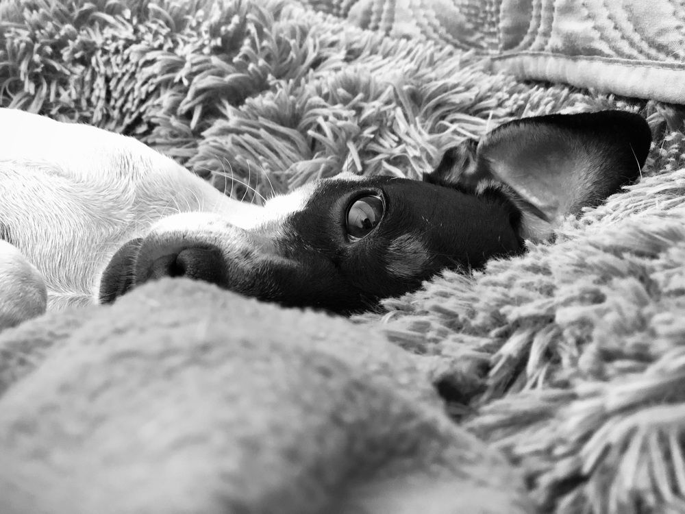 Photograph by Catalina Molina Daruich