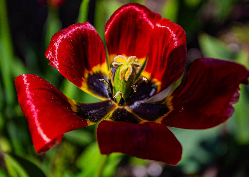 Photograph by Евгений Авдеев