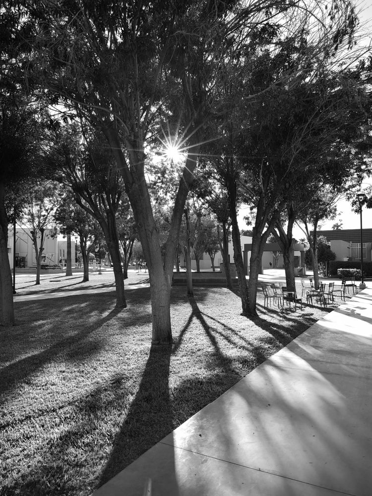 Photograph by Ivan Avitia